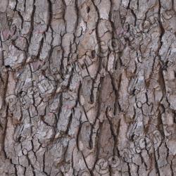 High Resolution Seamless Textures 0015